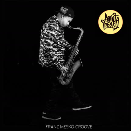 Carátula Franz Mesko Groove