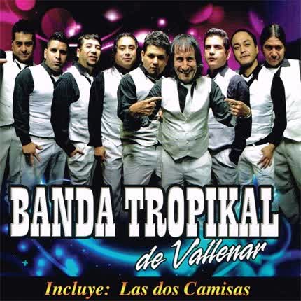 Carátula BANDA TROPIKAL DE VALLENAR - Banda Tropikal de Vallenar