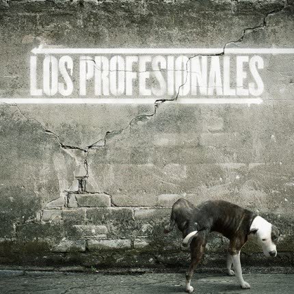 Imagen LOS PROFESIONALES