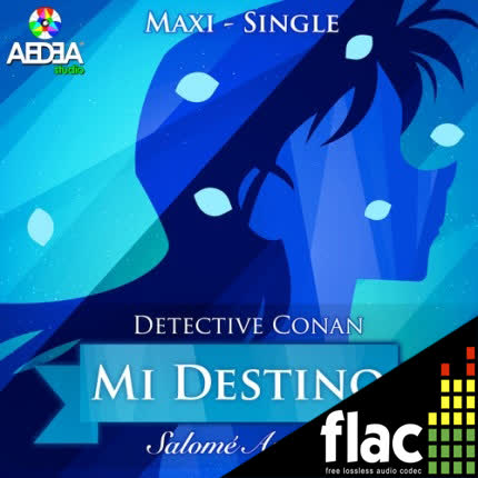 Carátula SALOME ANJARI - Mi Destino (Maxi-Single)