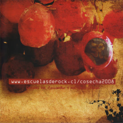 Carátula ESCUELAS DE ROCK - Volumen 13
