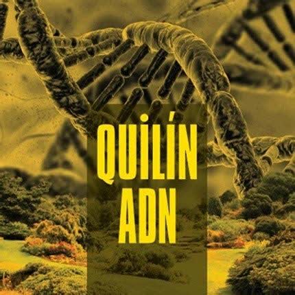 Carátula QUILIN ADN - Quilín ADN