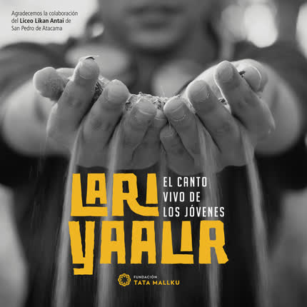 Carátula FELIPE ECHAVARRIA ALVAREZ - Lari Yaalir
