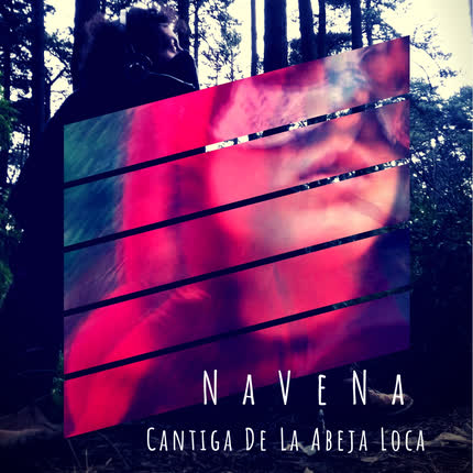 Carátula NAVENA - Cantiga De La Abeja Loca