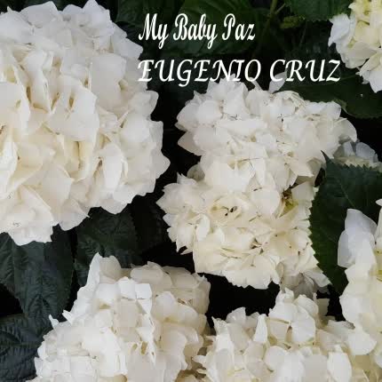 Carátula EUGENIO CRUZ - My Baby Paz