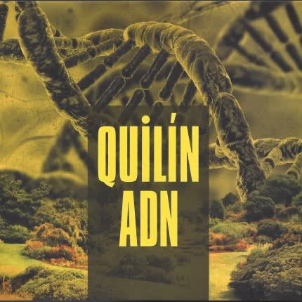 Carátula Quilín ADN