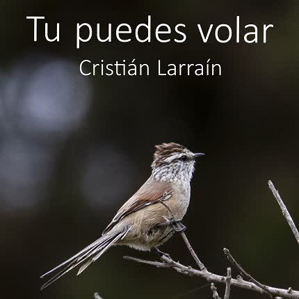 Carátula CRISTIAN LARRAIN - Tu Puedes Volar