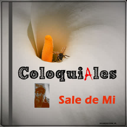 Carátula COLOQUIALES - Sale de mí