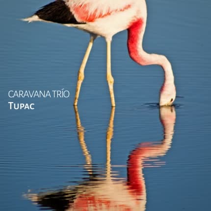Carátula CARAVANA TRIO - Tupac