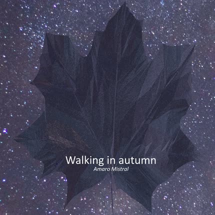 Carátula Walking in Autumn