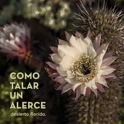 Carátula COMO TALAR UN ALERCE - Desierto Florido