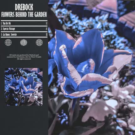 Carátula DREBOCK - Flowers Behind The Garden