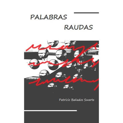 Carátula PATRICIO BAÑADOS SWARTE - Palabras Raudas