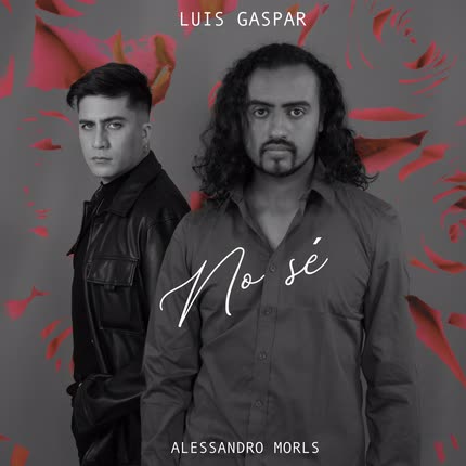 Carátula LUIS GASPAR - No Sé (feat. Alessandro Morls)