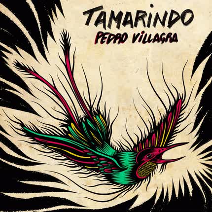 Carátula PEDRO VILLAGRA - Tamarindo