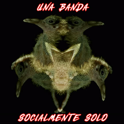 Carátula UNA BANDA - Socialmente Solo
