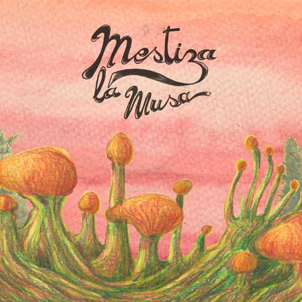 Carátula MESTIZA LA MUSA - Mestiza La Musa