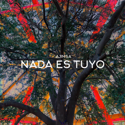 Carátula AJIMSA - Nada Es Tuyo