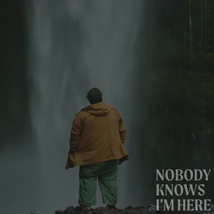 Carátula Nobody Knows I´m Here