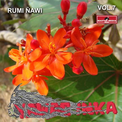 Carátula Yawar Inka Rumi Ñawi (Vol. 7)