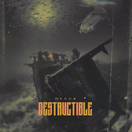 Carátula DROOW - Destructible