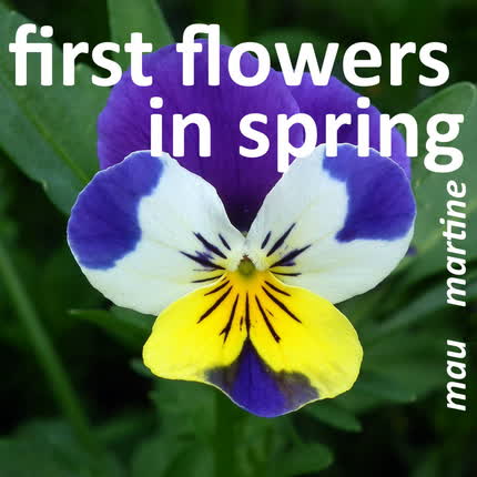 Carátula MAU MARTINE - First Flowers in Spring