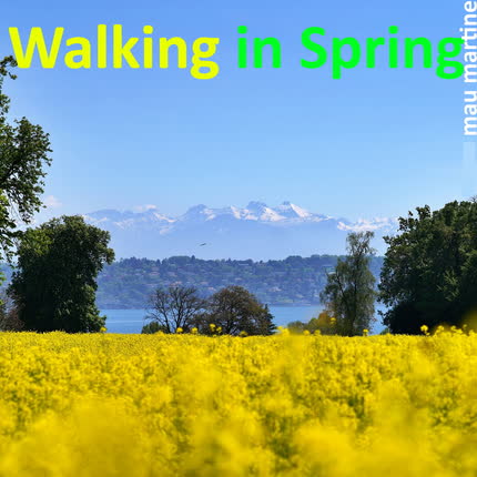 Carátula MAU MARTINE - Walking in Spring