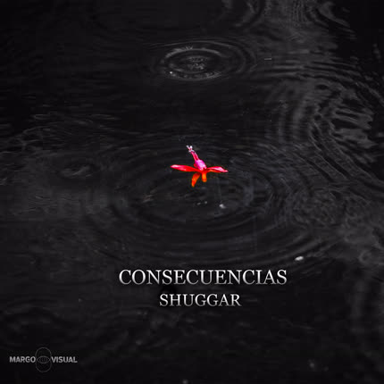 Carátula SHUGGAR - Consecuencias