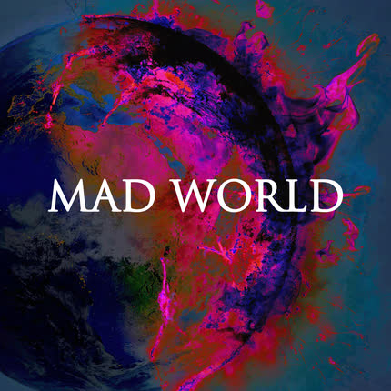 Carátula ACIDMUT - Mad World