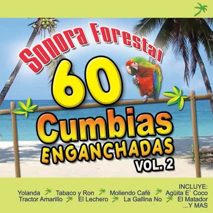 Carátula 60 Cumbias enganchadas <br/>volumen 2 