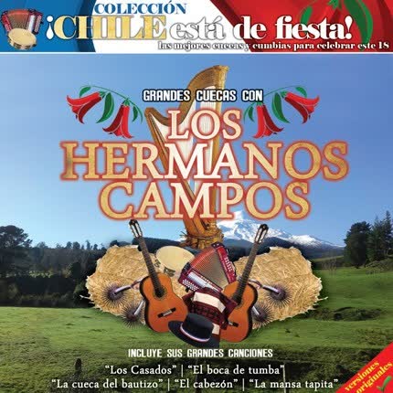 Carátula LOS HERMANOS CAMPOS - Grandes Cuecas