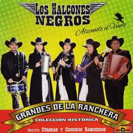 Carátula LOS HALCONES NEGROS - Alzando el Vuelo: Grandes de las Ranchera Colección Histórica, Vol. 3