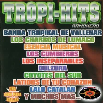 Carátula TROPI HITS 2012 - Tropi Hits 2012