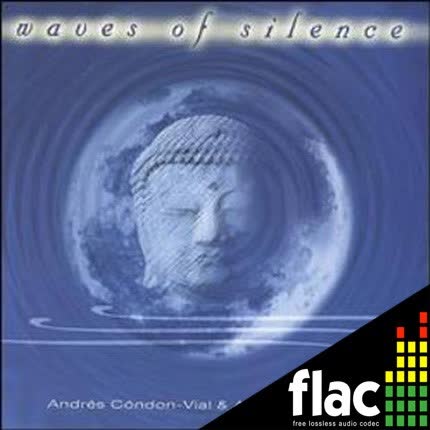 Carátula ANDRES CONDON - Waves of silence