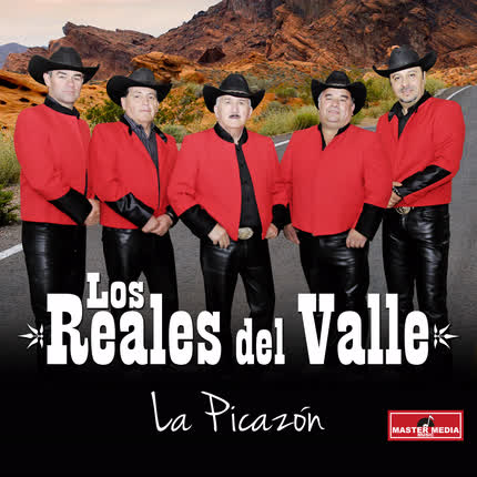 Carátula LOS REALES DEL VALLE - La Picazón